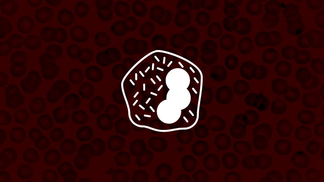 High Basophil: What it Means for your Health